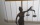 Justitia